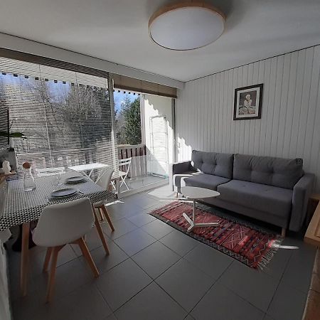Studio Quartier Calme Centre Ville Vue Mont Blanc Chamonix Exterior foto