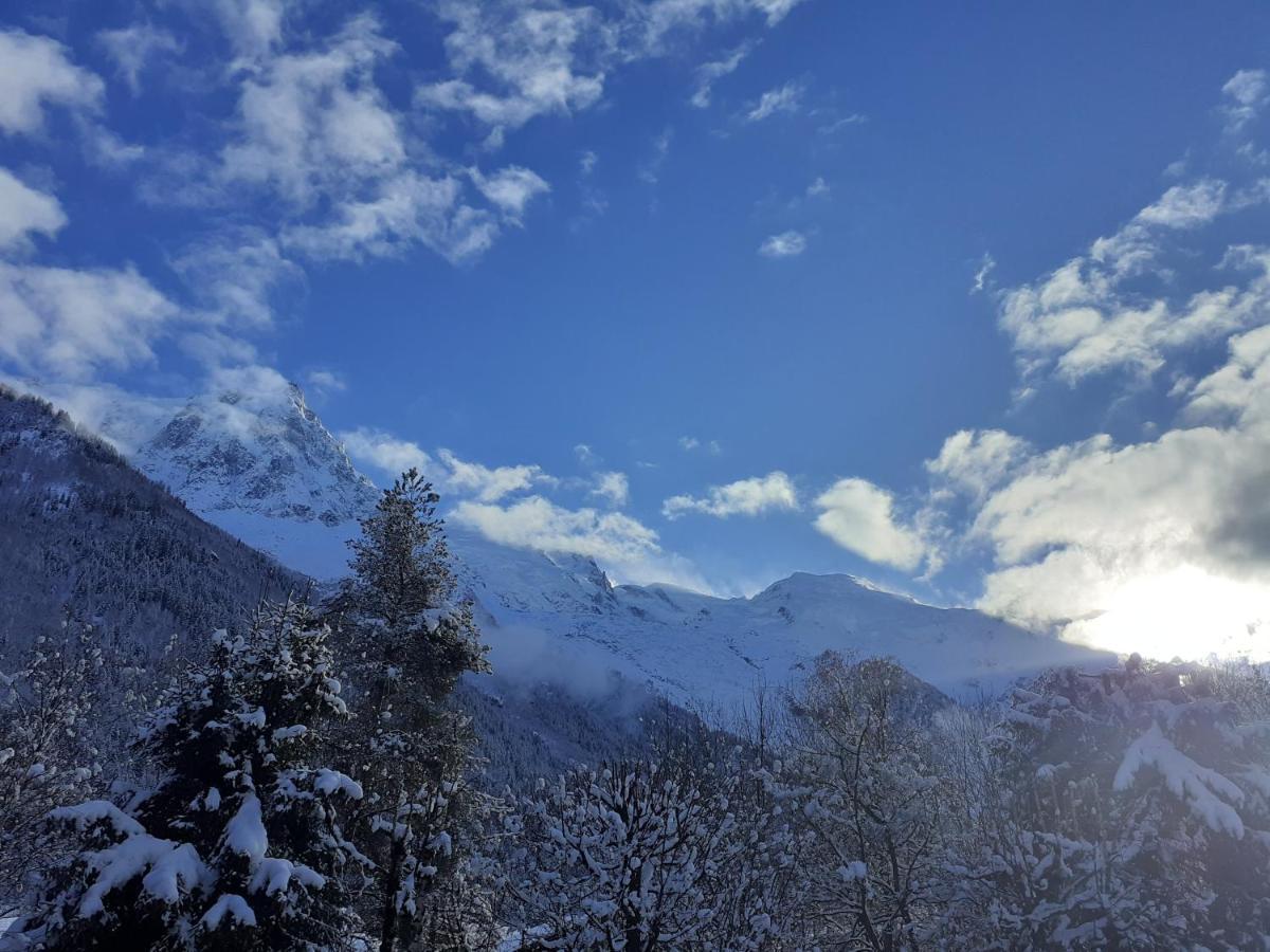Studio Quartier Calme Centre Ville Vue Mont Blanc Chamonix Exterior foto